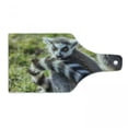 thumbnail image 1 of Lemur Cutting Board, Blurred Backdrop Photo of Ring Tailed Breed Animal with Funny Shocked Expression, Decorative Tempered Glass Cutting and Serving Board, in 3 Sizes, by Ambesonne, 1 of 2
