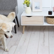 Petcube Interactive Pet Camera Toy with Laser, Matte Silver