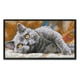 thumbnail image 4 of Canvas Artwork DIY Print 14CT Stamped Quiet Animal Kit Costura Punto de cruz, 4 of 9