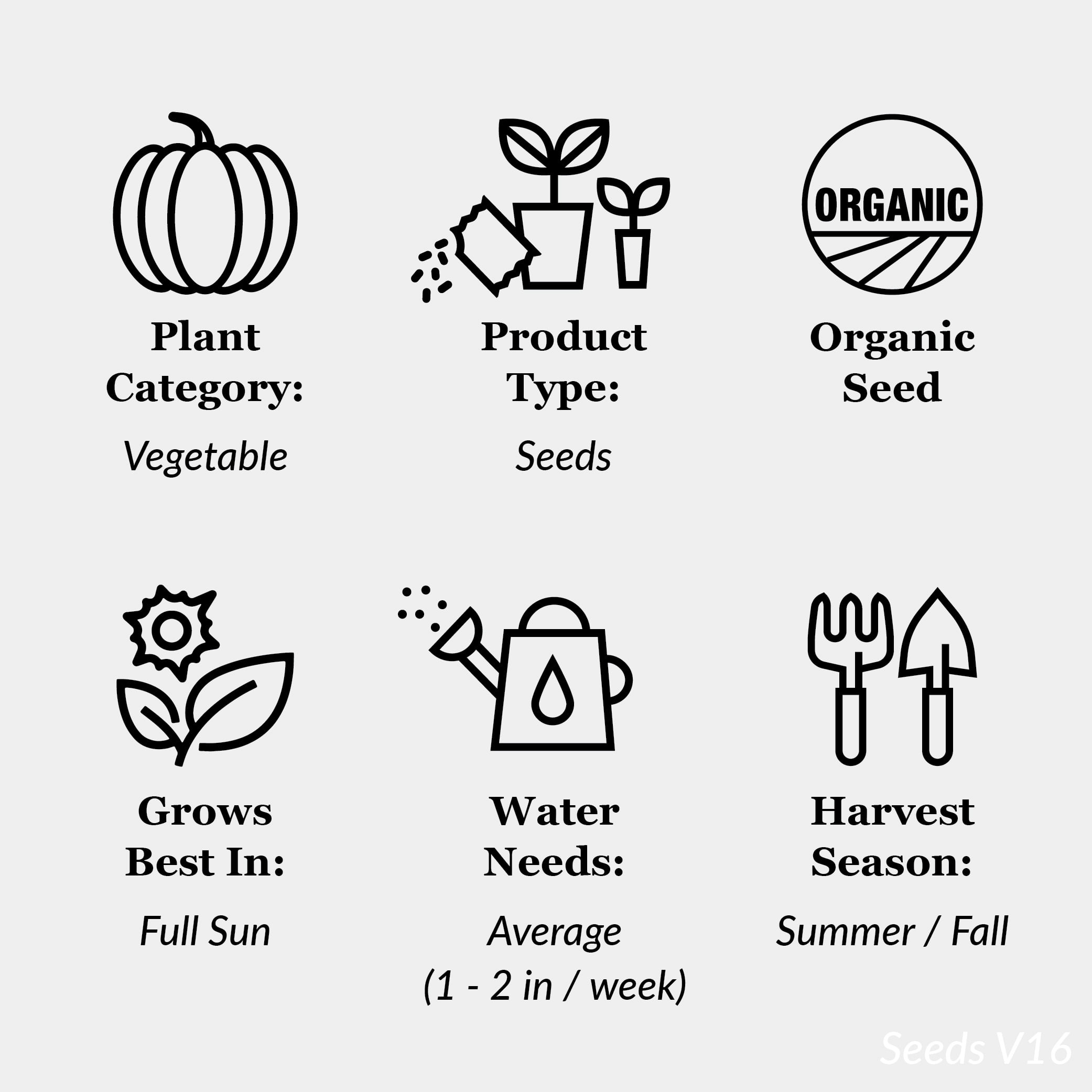 Ferry-Morse Organic 2.2G Beet Green Top Bunching Annual Vegetable Seeds, Full Sun