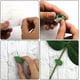 thumbnail image 4 of 30 piezas de clips autoadhesivos para montaje en pared para plantas trepadoras, 4 of 5