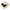 Dachshund, variant on BERANMEY Cute Animal Puppy Butterfly Dogs Slippers for Women Perfect Soft Plush Comfy Warm Slip-On Slippers fo Women Indoor Fluffy House Slippers for Women and Men Non-slip Fuzzy Flat Slides