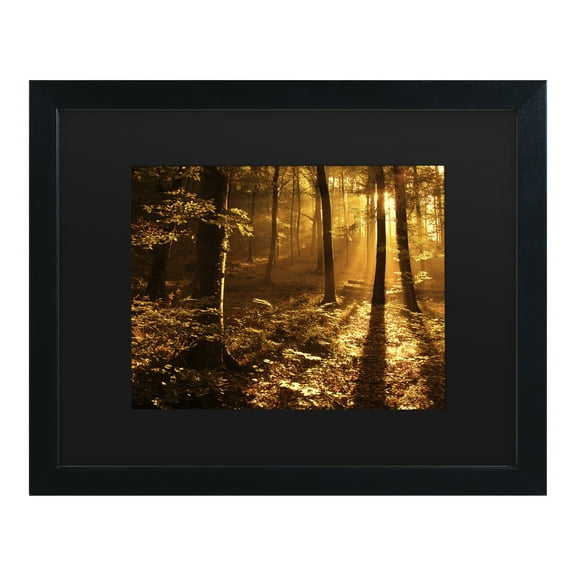 Trademark Fine Art 'Morning Light' Canvas Art by Philippe Sainte-Laudy
