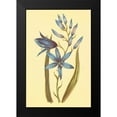 thumbnail image 2 of PI Collection 17x24 Black Modern Framed Museum Art Print Titled - Camass and Wild Hyacinth, 2 of 5