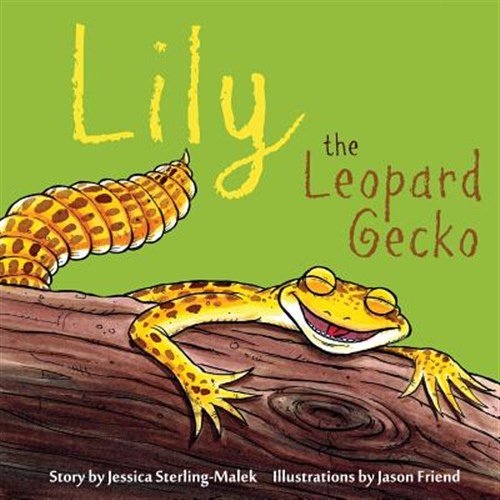 Pre-Owned Lily the Leopard Gecko