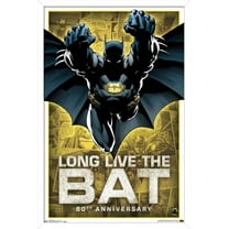 DC Comics - Batman - 80th Anniversary Wall Poster, 14.725" x 22.375", Framed
