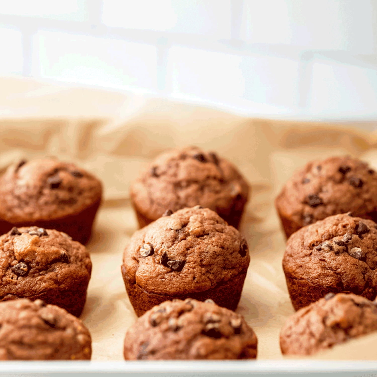 (6 pack) Lehi Mills Chocolate Chocolate Muffin Mix 18 oz Box - Premium Baking Mix