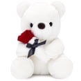 thumbnail image 1 of Oso de peluche HWD 25 cm con peluche de peluche rosa para San Valentín, 1 of 6