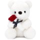 thumbnail image 1 of Oso de peluche HWD 25 cm con peluche de peluche rosa para San Valentín, 1 of 6