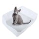 thumbnail image 5 of Bolsa de filtro de nailon para caja de arena de gatos, desodorización, herramienta de limpieza higiénica para gatitos, suministros para mascotas, 20 unidades, 5 of 11