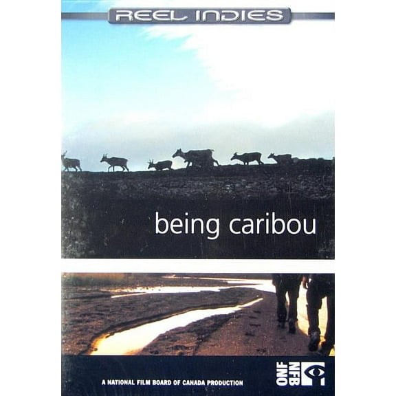 Being Caribou