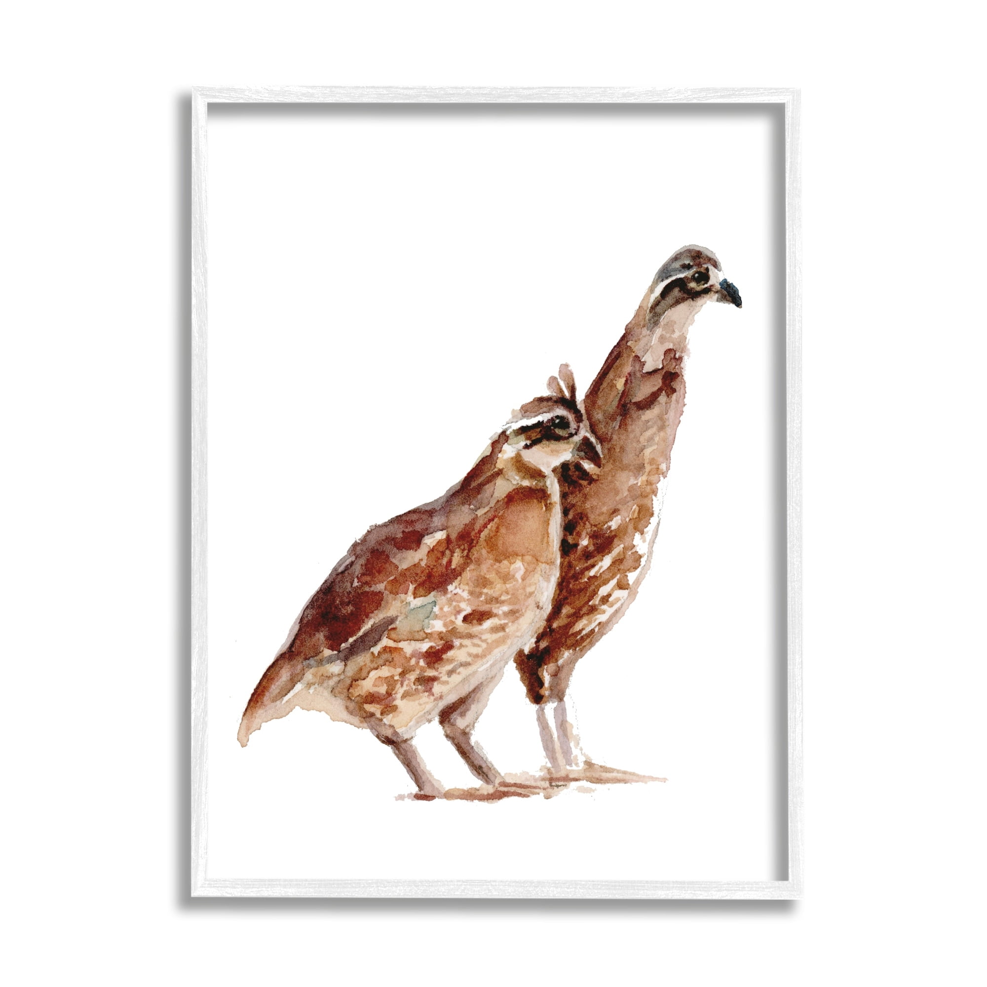 Stupell Industries Quail Bird Pair Children's Nursery Watercolor Painting Wildlife, 11 x 14,Design by Fox Hollow Studios