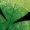 Green J, variant on IFNWSV Girls Leggings Print Stretchy Pull On Elastic Waist Footless Tights Casual Opaque Bottoms for Active Play Green 4 Years