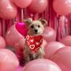 thumbnail image 5 of Pet Scarf Valentine's Day Pet Apparel Pet Scarf Cats And Dog Tricot Pet Accessories Valentine's Day Decorations, 5 of 6
