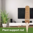 thumbnail image 6 of Plants Support Moss Pole, Climbing Plants Stick, Extension Moss Stick for Indoor Plants, Perfect Support for Growing Vines, and Gardening DIY Projects, 6 of 8