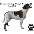thumbnail image 5 of Dog Leg Braces by Paw Empire, Ultra Supportive with Metal Springs, Large, Rainbow Dog Bones, 5 of 6