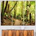 thumbnail image 1 of Rainforest, 1 of 1