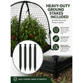 thumbnail image 4 of NuVue Products 32100 Pop-Up Garden Netting Pest Guard Mesh Plant Cover Tents for Pest and Animal Control, Pack of 2, Black, 22" x 22" x 22", 4 of 10