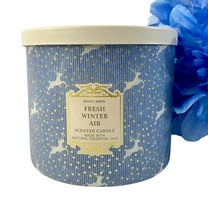 Bath and Body Works Fresh Winter Air 3-Wick Scented Candle (14.5 OZ / 411 G)