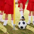 thumbnail image 4 of unbranded De Entrenamiento De Fútbol Con Base Para Banderín Y Clavo Resistente Plateado, 4 of 8