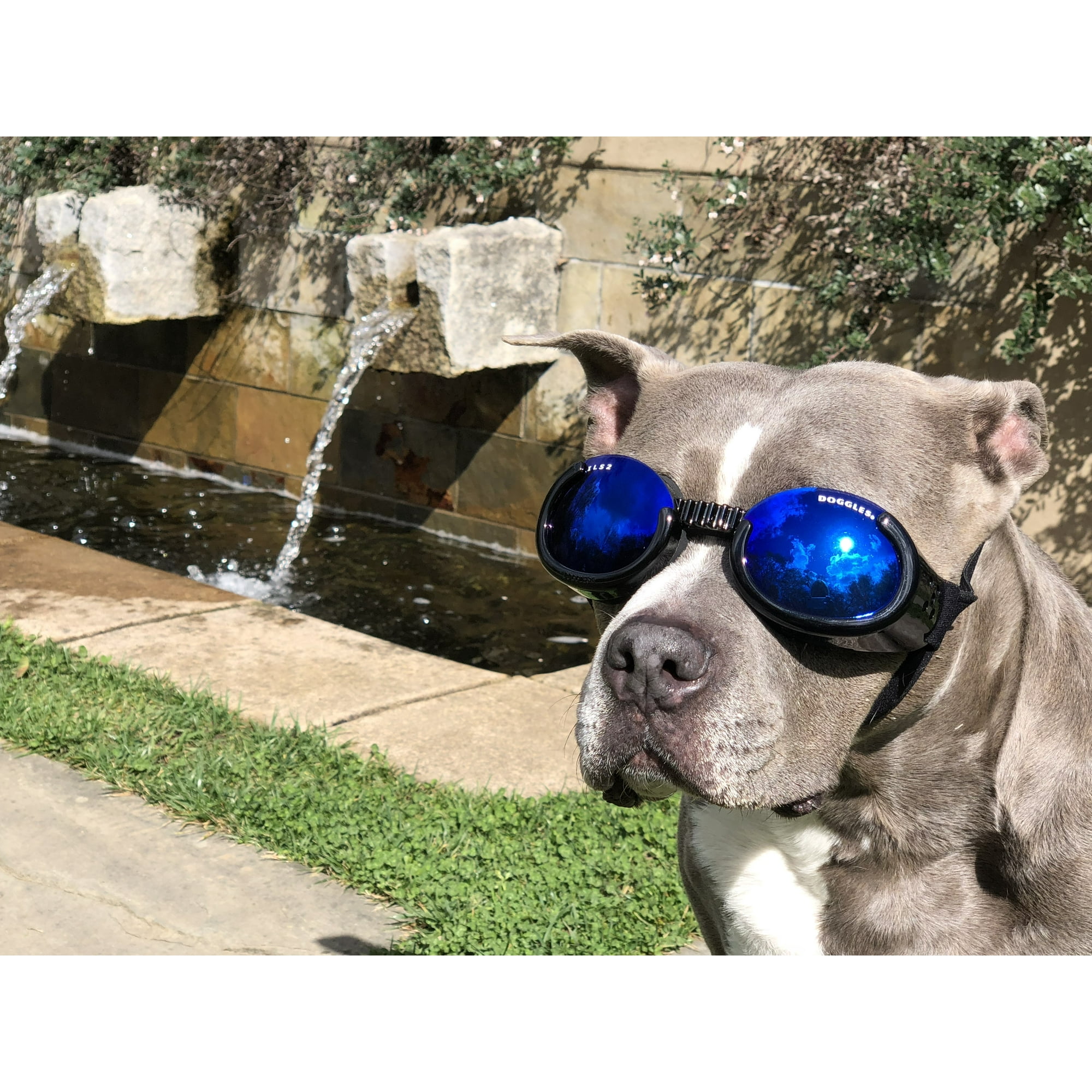 Doggles DGILXS01 ILS Extra Small Metallic Black Frame Smoke Lens Walmart