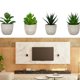 thumbnail image 4 of Injueey 4 unids/set vida orgánica con plantas suculentas artificiales-ambiente Natural en el hogar decoración de refuerzo de salud Artificial Decoración, 4 of 6