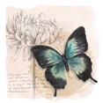 thumbnail image 2 of Popp, Grace 12x12 Gold Ornate Wood Framed with Double Matting Museum Art Print Titled - Shadow Box Butterfly III, 2 of 4