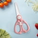 thumbnail image 5 of Tijeras de Cerámica de Seguridad para Niños con Funda | Tijeras Portátiles para Alimentos y Cocina | Hojas de Cerámica, Fácil de Limpiar, Diseño Ligero | Rosa o Verde, 5 of 6