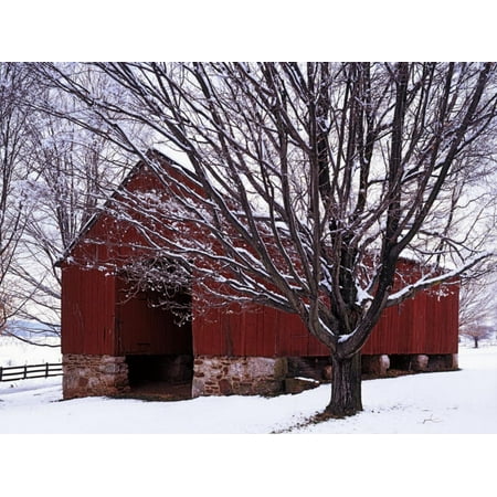 Pottery Barn Outlet Virginia Barn and Maple after winter storm, Fairfax County, Virginia, USA Architecture Snowscape Photography Print Wall Art By Charles Gurche ()