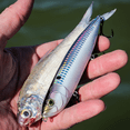 thumbnail image 6 of 6th Sense – CatWalk Walking Topwater Bass Fishing Lure, 116mm (5/8oz.), Keel-Belly Design, 6 of 8