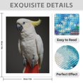 thumbnail image 3 of Diamond Art Kit for Adults, White Parrot Yellow Bird Portrait Diamond Painting for Adults Beginners, DIY Diamond Art Painting Kits, 5D Diamond Painting Crafts for Home Decor 12x16 Frameless, 3 of 7