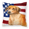 thumbnail image 1 of Carolines Treasures BB9676PW1414 Rhodesian Ridgeback Patriotic Fabric Decorative Pillow, 1 of 4