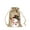 A, variant on Jierger 2pcs Christmas Burlap Bag Set Drawstring Advent Calendar Small Cloth Bag Christmas Decoration Gift Bag Candy Bag for Christmas Gift Wrapping Boxes Xmas Party Supplies Decorations