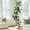 6FT, variant on 6FT Rubber Tree Artificial Tree, Fake Floor Plant with 7 Pcs Magnolia Flowers in White Planter Bonsai Planter, Indoor Tall Faux Plants for Living Room Home Decor, Gifts for Women