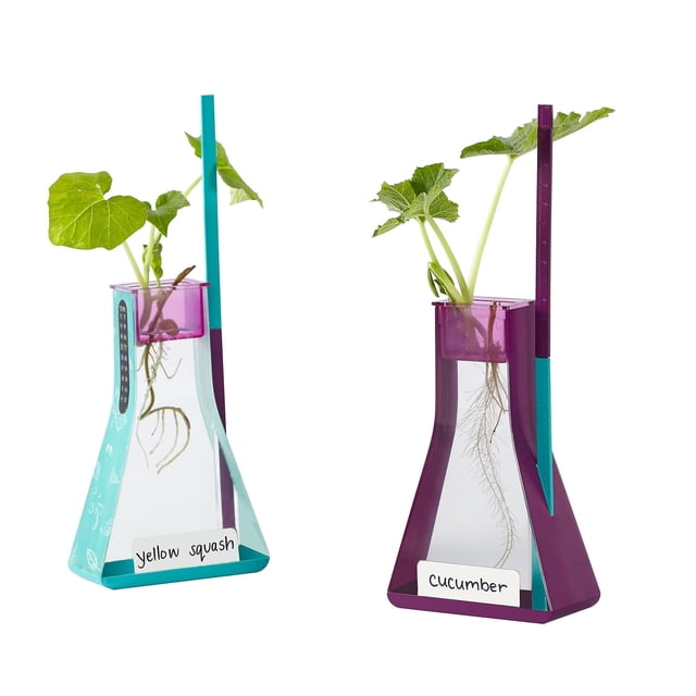 Kit de hidroponía: Perspectivas educativas | Nancy B's Science Club