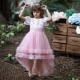thumbnail image 5 of Lindreshi Baby Girl Clothes Children's Dresses Girls Sleeveless Princess Dress Flower Mesh Dress, 5 of 6
