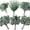 Eucalyptus Leaves Stems-240, variant on 6 Kinds Mixed Eucalyptus Leaves Stems Bulk Artificial Silver Dollar Leaves Picks Dried Eucalyptus Bundle Faux Spray for Wedding Vase Bouquet Decor
