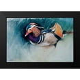 thumbnail image 2 of Campbell, Robert 24x17 Black Modern Framed Museum Art Print Titled - Mandarin Duck Soup, 2 of 5