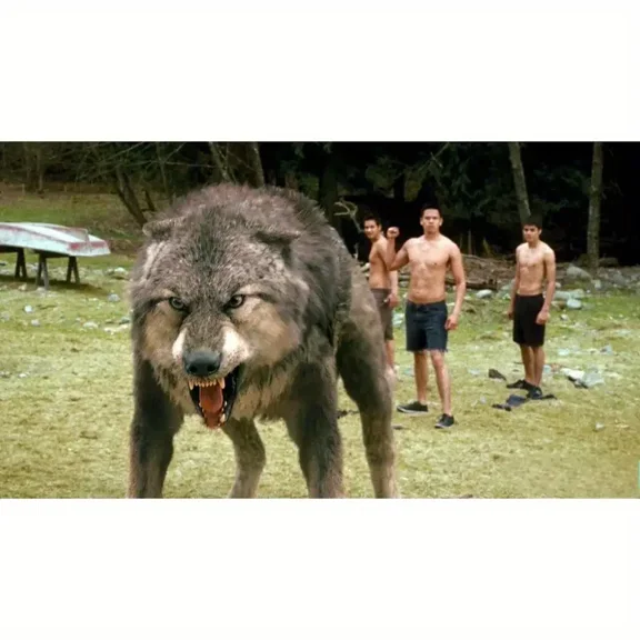 5D Diamond Painting Kits for Adults Diamond Art Twilight Theme Diamond Painting Full Drill Diamond Crystal Rhinestone Embroidery Crafts Kits for Home Wall Decor Gifts