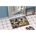 thumbnail image 4 of Carolines Treasures BDBA0441JMAT Fifty One Dogs Indoor or Outdoor Mat- 24 x 36, 4 of 4
