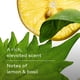 thumbnail image 5 of Harry's Men's Body Wash - Spring - (3 Pack) 18 fl oz - Shower Gel for Men - No Parabens, Sulfates, or Dyes, 5 of 9