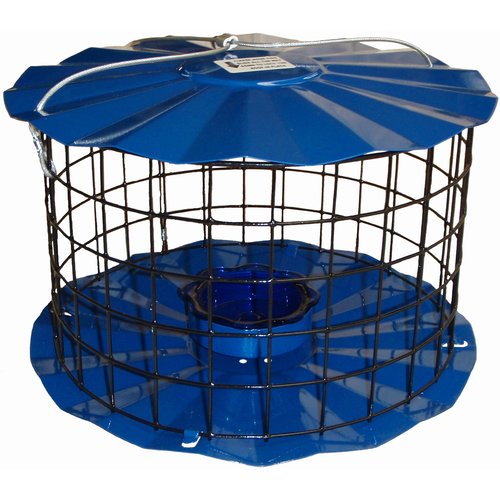 Erva Barrier Guard Specialty Decorative Bird Feeder