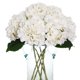 thumbnail image 1 of Ramos de flores de hortensia de seda artificial, 6 unidades, color blanco Kimura's Cabin NA, 1 of 9