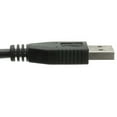 thumbnail image 3 of eDragon USB 2.0 Extension Cable, Black, A Male to A Female, 1 foot, Pack of 10, 3 of 6
