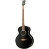 Dean EAB CBK Electric / Acoustic Bass Guitar Classic Black Finish Eabcbk New