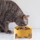 thumbnail image 3 of El plato de cerámica del cuenco del gato del perro con el soporte, cuencos pesados pesados lindos modernos del animal doméstico fijó para los gatos y los perros, 3 of 5