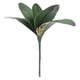 thumbnail image 4 of Hojas de Orquídeas Phalaenopsis Verdes Artificiales Arreglo de Plantas de Tacto Real para Decoración de Bonsái de Jardín de Flores ANGGREK  Otros, 4 of 8