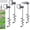 4Pcs 17" Length with T-bracket, variant on 2/4/6 Pack 18" 24" Ground Screw Anchors with L Bracket for Trampoline, Swing Set, Mobile Home, Fence, Tent, Canopy, Carport