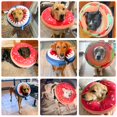 thumbnail image 2 of BEAUTYZOO Dog Cone Alternative After Surgery, Soft Inflatable Cone Collar for Large Dogs, Brown Hamburger Donut, Neoprene, 2 of 3