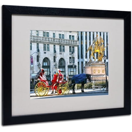 Trademark Fine Art "Central Park 2" Matted Framed Art by CATeyes